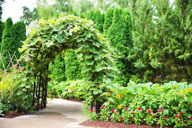 Arbor in a garden